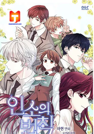 Inso's Law Cover Image