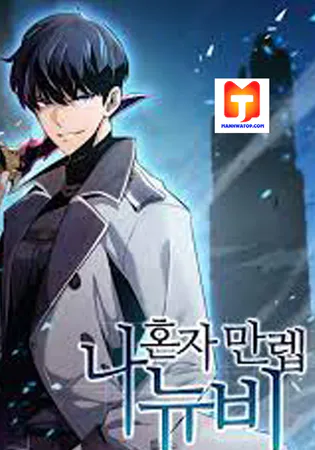 Solo Max-Level Newbie Cover Image