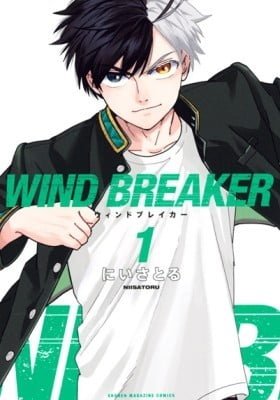 Wind Breaker (NII Satoru) Cover Image